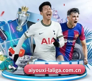 爱游戏体育足球 APP
