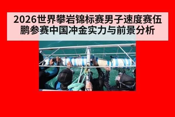 2026世界攀岩锦标赛男子速度赛伍鹏参赛中国冲金实力与前景分析